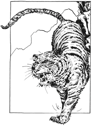 Тигр.